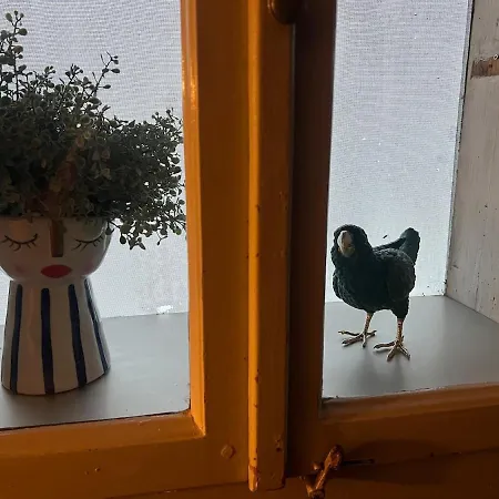 Maison Verdeau Ferien Am Murtensee Ferienhaus